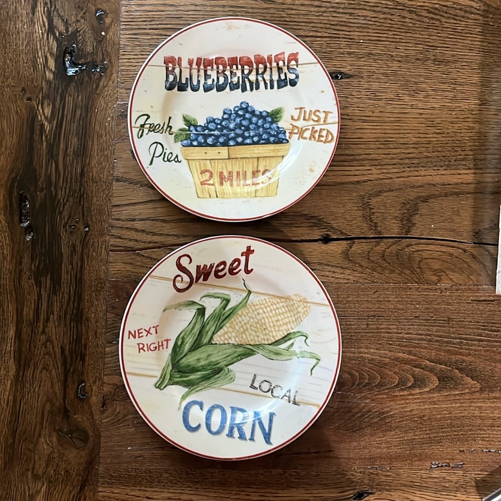 Farm Fresh by Home Trends 8” plates.  Set of 2